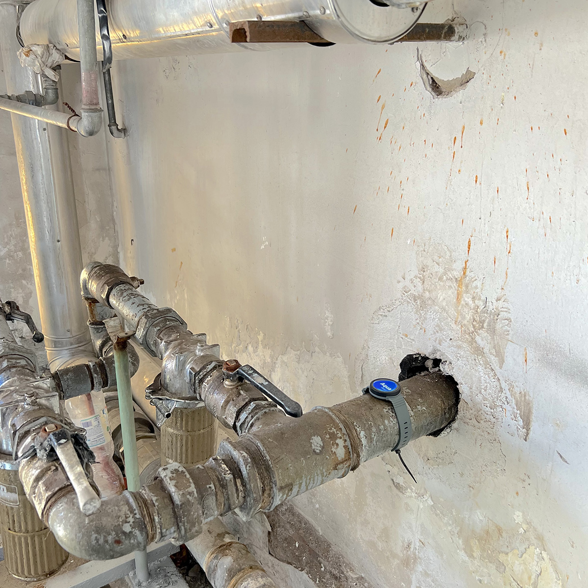 Atena - Domestic products image